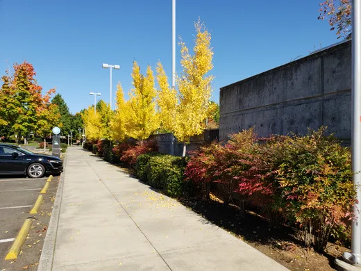 Landscape installation or grounds maintenance by Earthworks Landscape Service