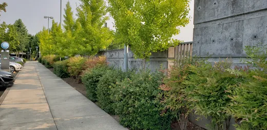 Earthworks Landscape Service project photo