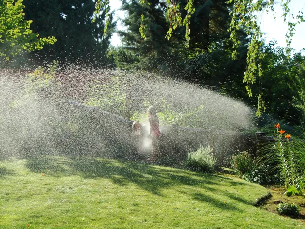 Irrigation system installation in progress