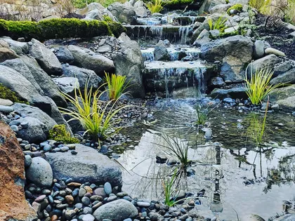 Tiered stream waterfall cascading into a pebble-bottom pond