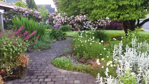 Earthworks Landscape Service project photo