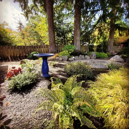 Garden vignette with cobalt birdbath, ferns, and paver circle patio