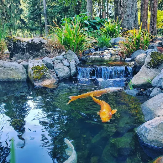 Pond or water feature project by Earthworks Landscape Service
