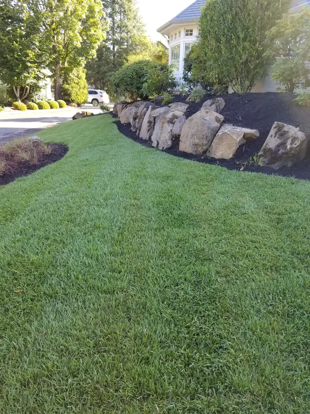 Lush residential backyard lawn
