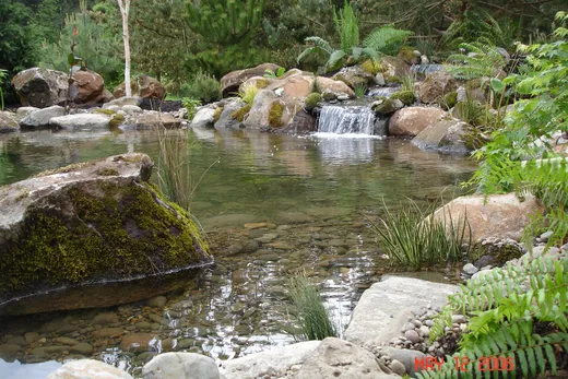 Pond or water feature designed and built by Earthworks Landscape Service