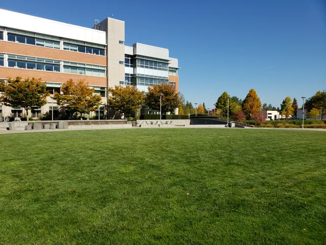 Detailed planting bed cleanup on a commercial site