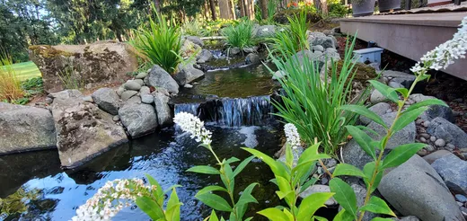 Pond or water feature designed and built by Earthworks Landscape Service