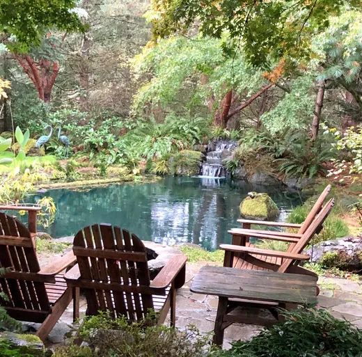 Pond or water feature designed and built by Earthworks Landscape Service