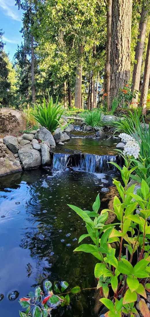 Pond or water feature designed and built by Earthworks Landscape Service