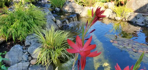 Pond or water feature designed and built by Earthworks Landscape Service