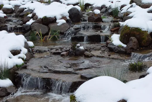 Pond or water feature designed and built by Earthworks Landscape Service
