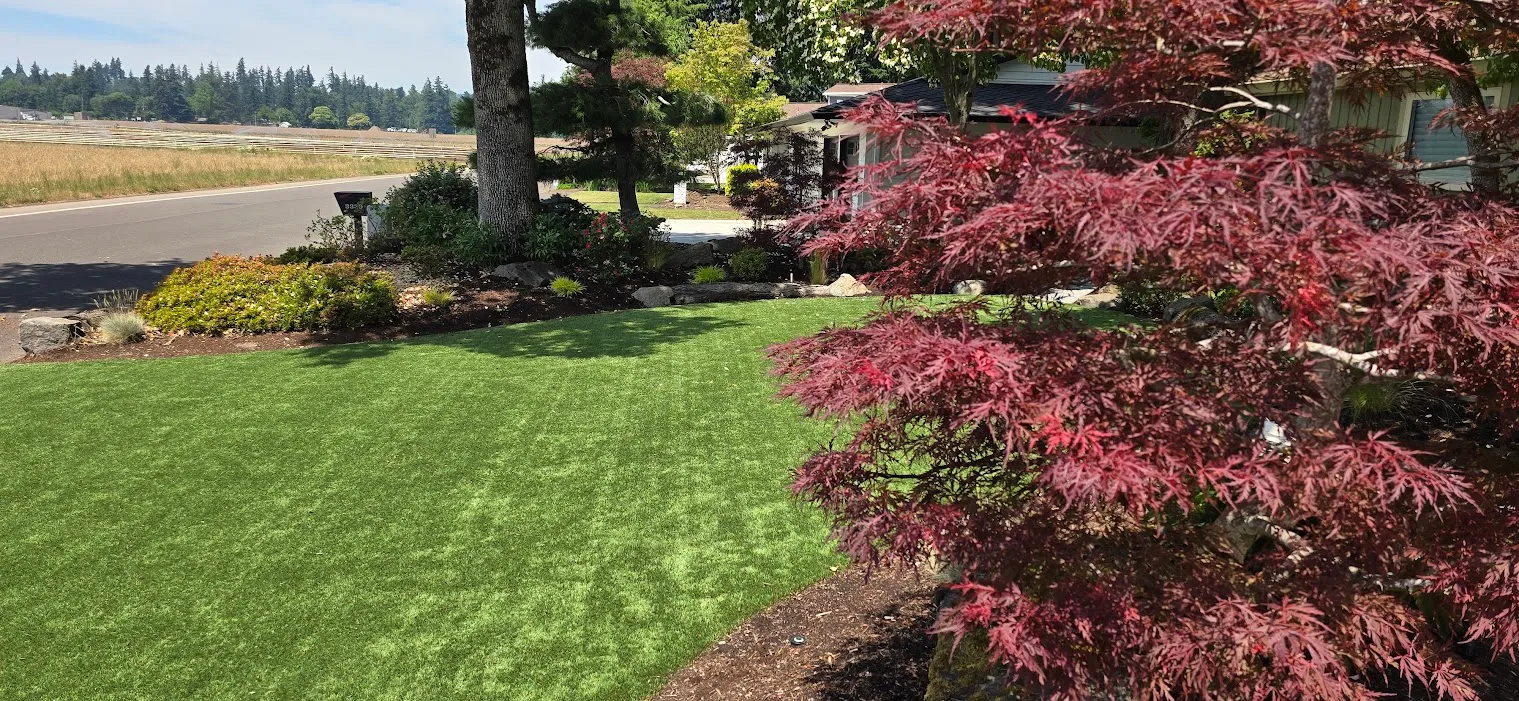 Premium artificial turf lawn, green and uniform, after installation