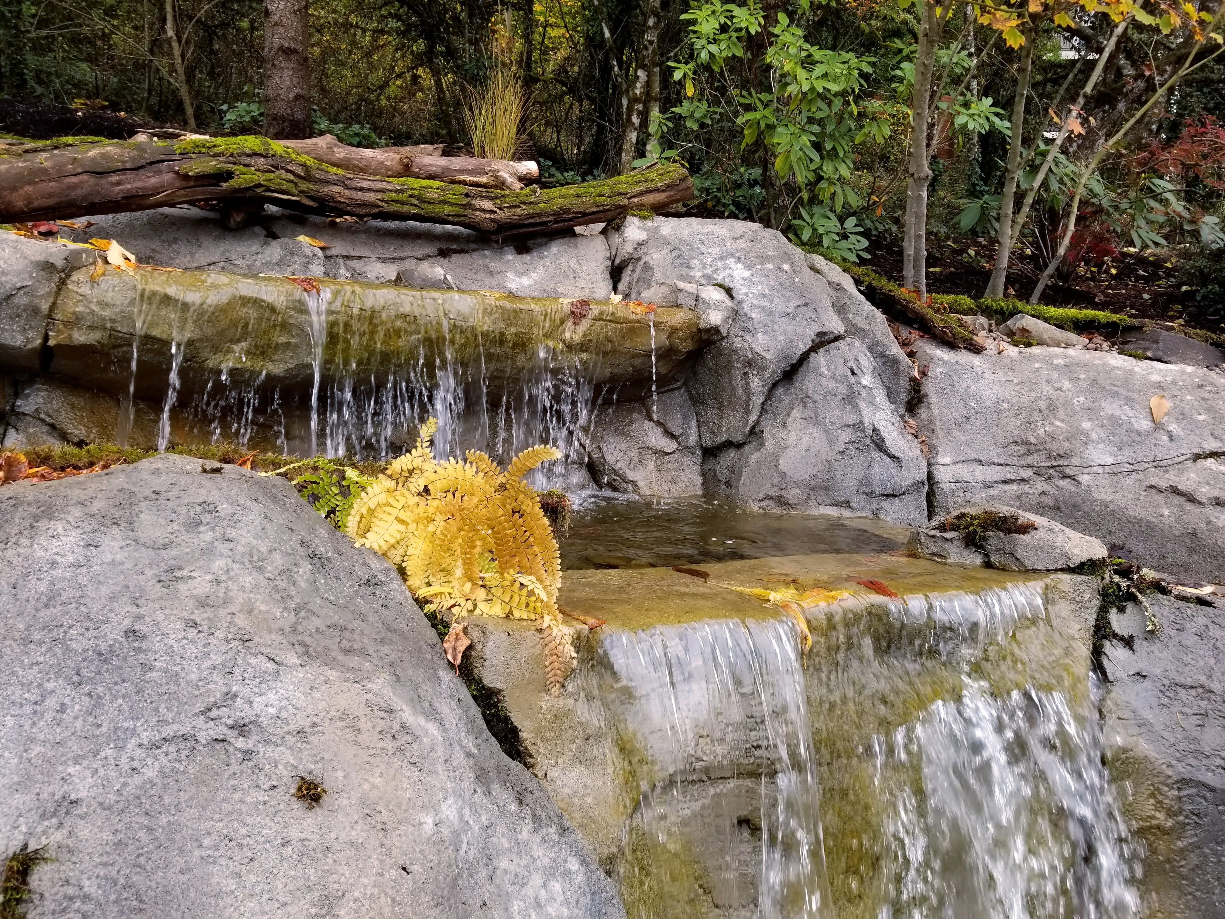 Rebuilt waterfall spilling over boulders and a mossy log at a Lake Oswego pond