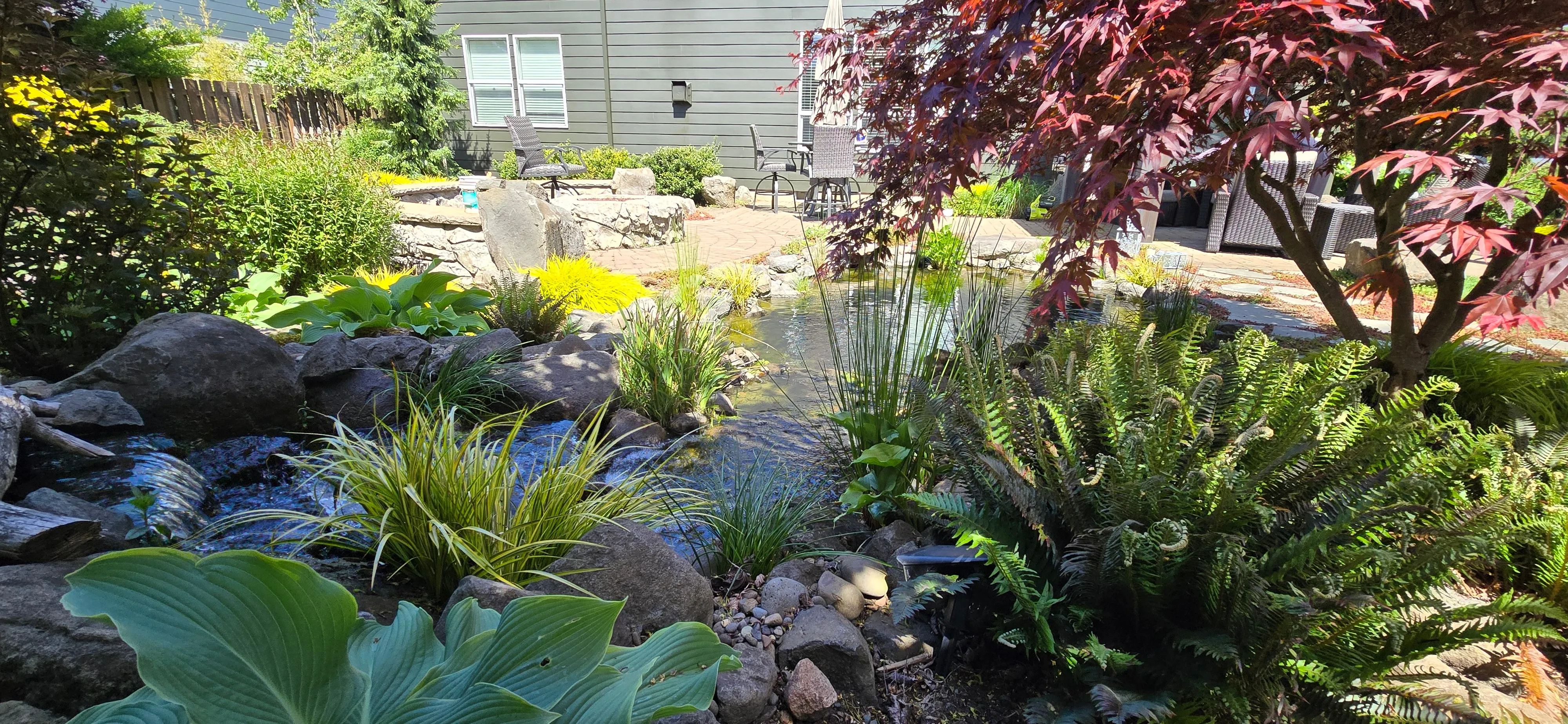Mature pond margins with ferns and hostas softening the rock edges at an Oregon City watergarden