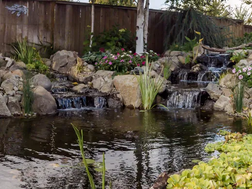 Pond or water feature designed and built by Earthworks Landscape Service