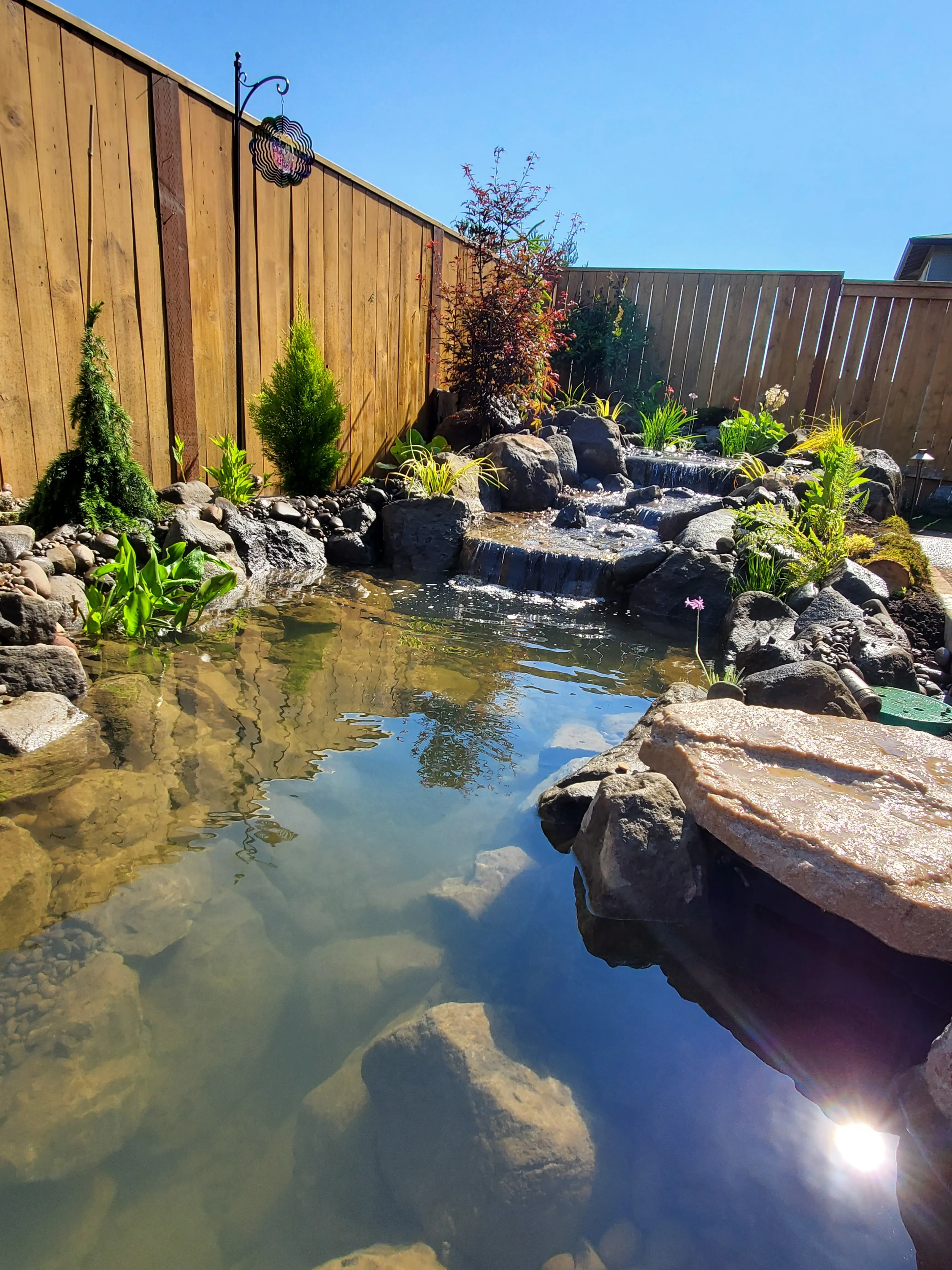 Glass-still backyard pond reflecting the sky beside a cedar fence in Wilsonville