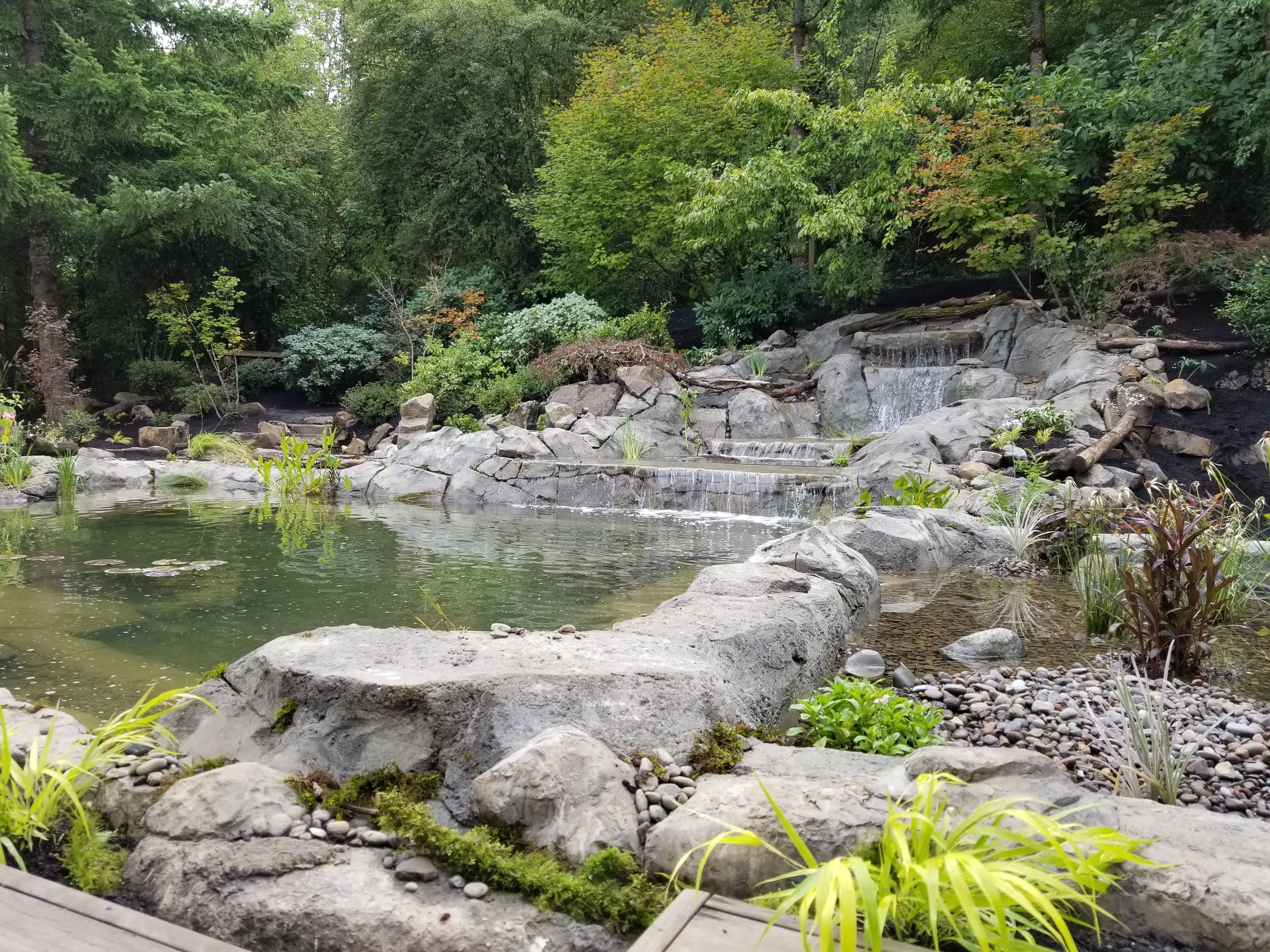 Wide view of the finished boulder-lined pond, falls, and fresh plantings