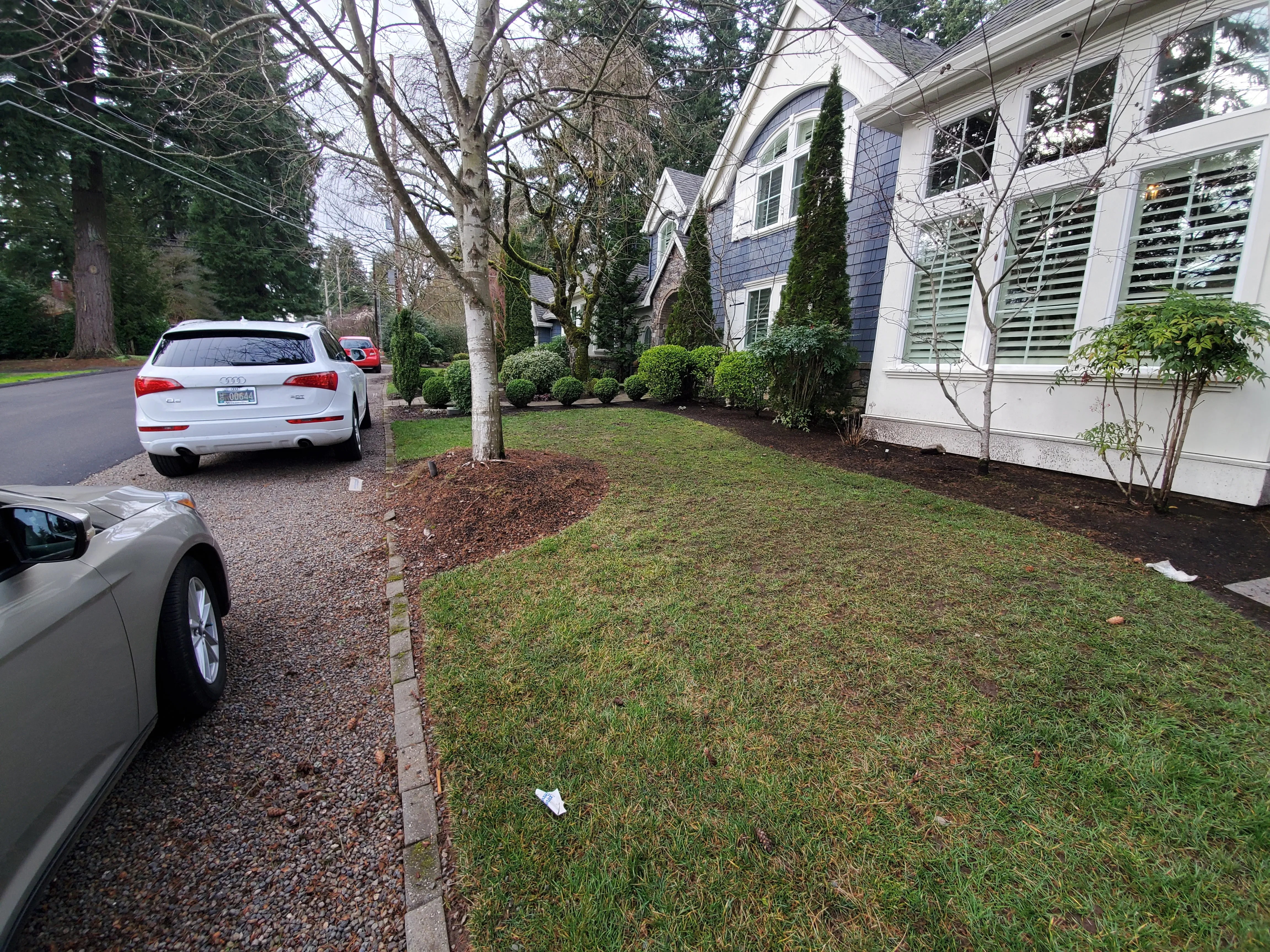 Patchy waterlogged winter lawn along the sidewalk before the front-yard rebuild