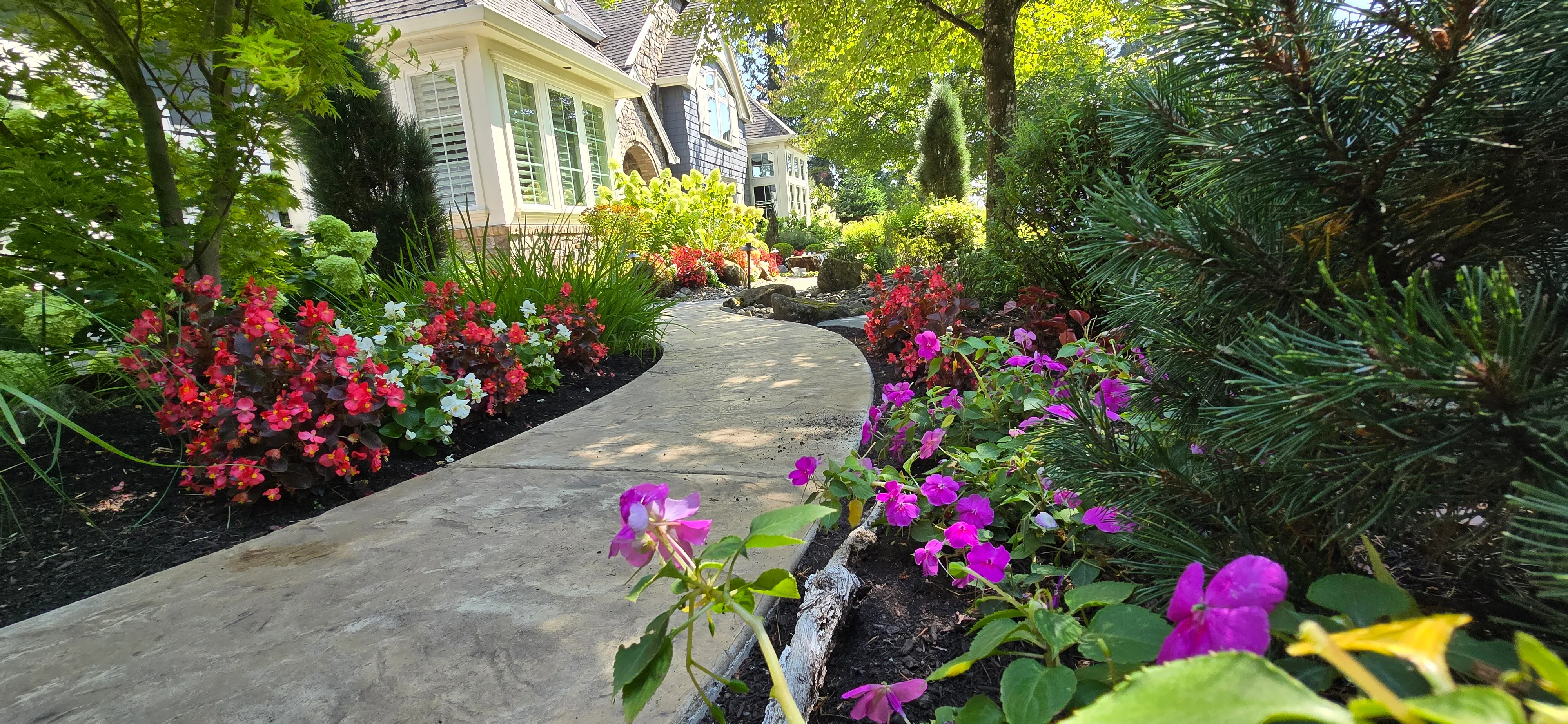 Stamped concrete walk sweeping through borders packed with red and purple blooms