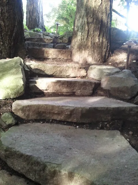 Freshly set stone slab steps on a wooded Lake Oswego hillside