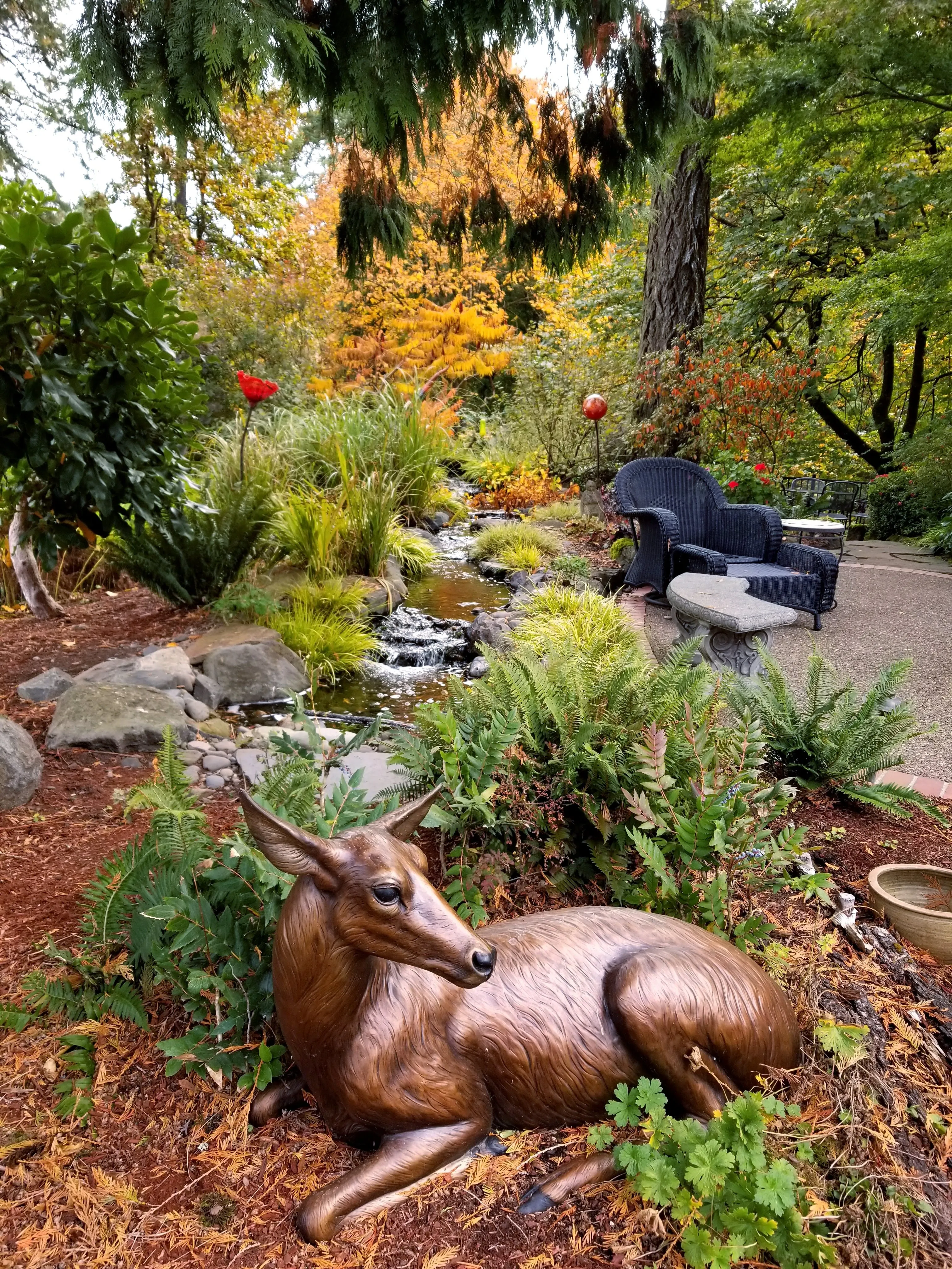 Backyard pond and waterfall in fall color with a bronze deer at the edge