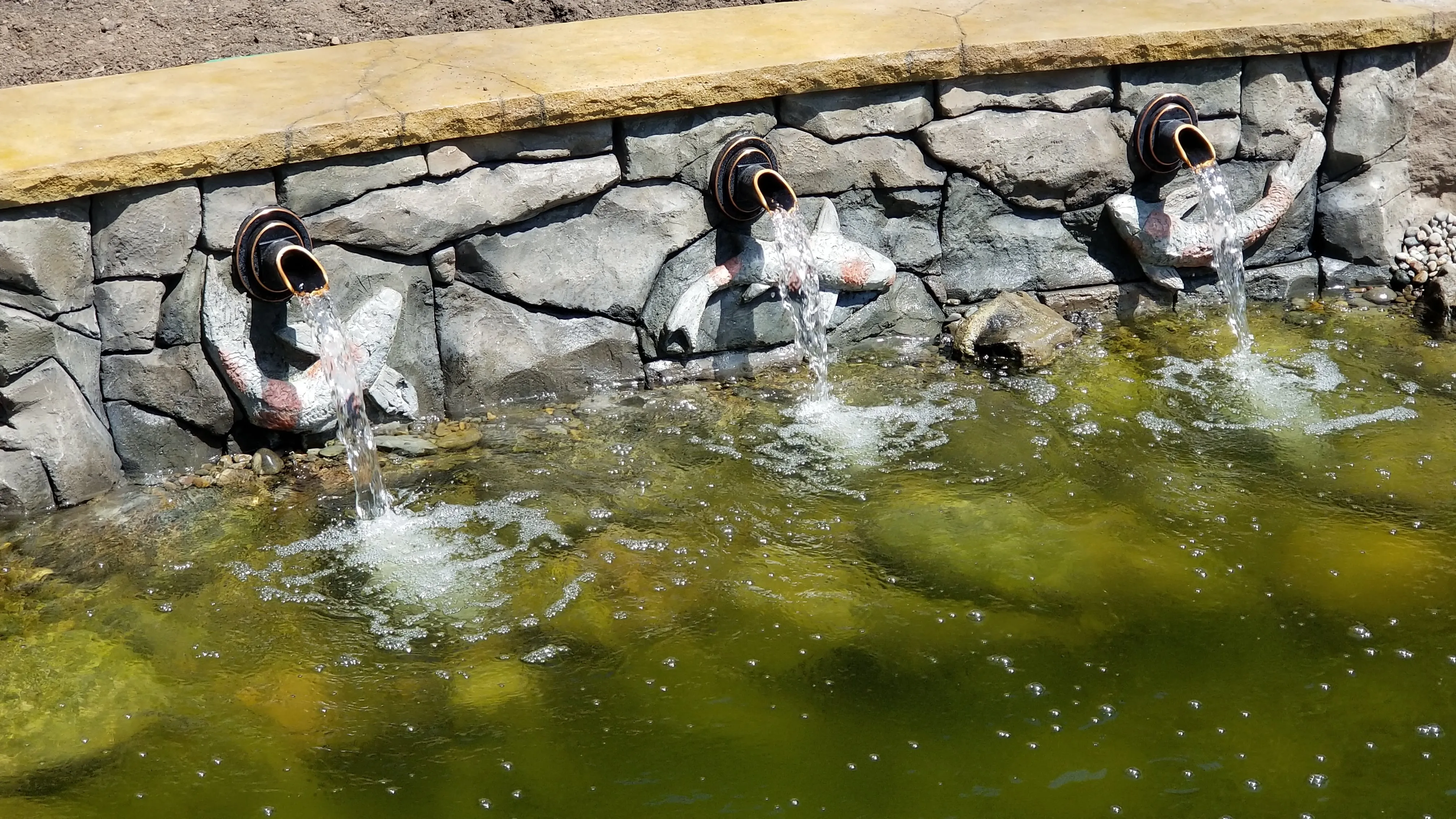 Three painted koi spitters pouring their first water from the wall into the pond