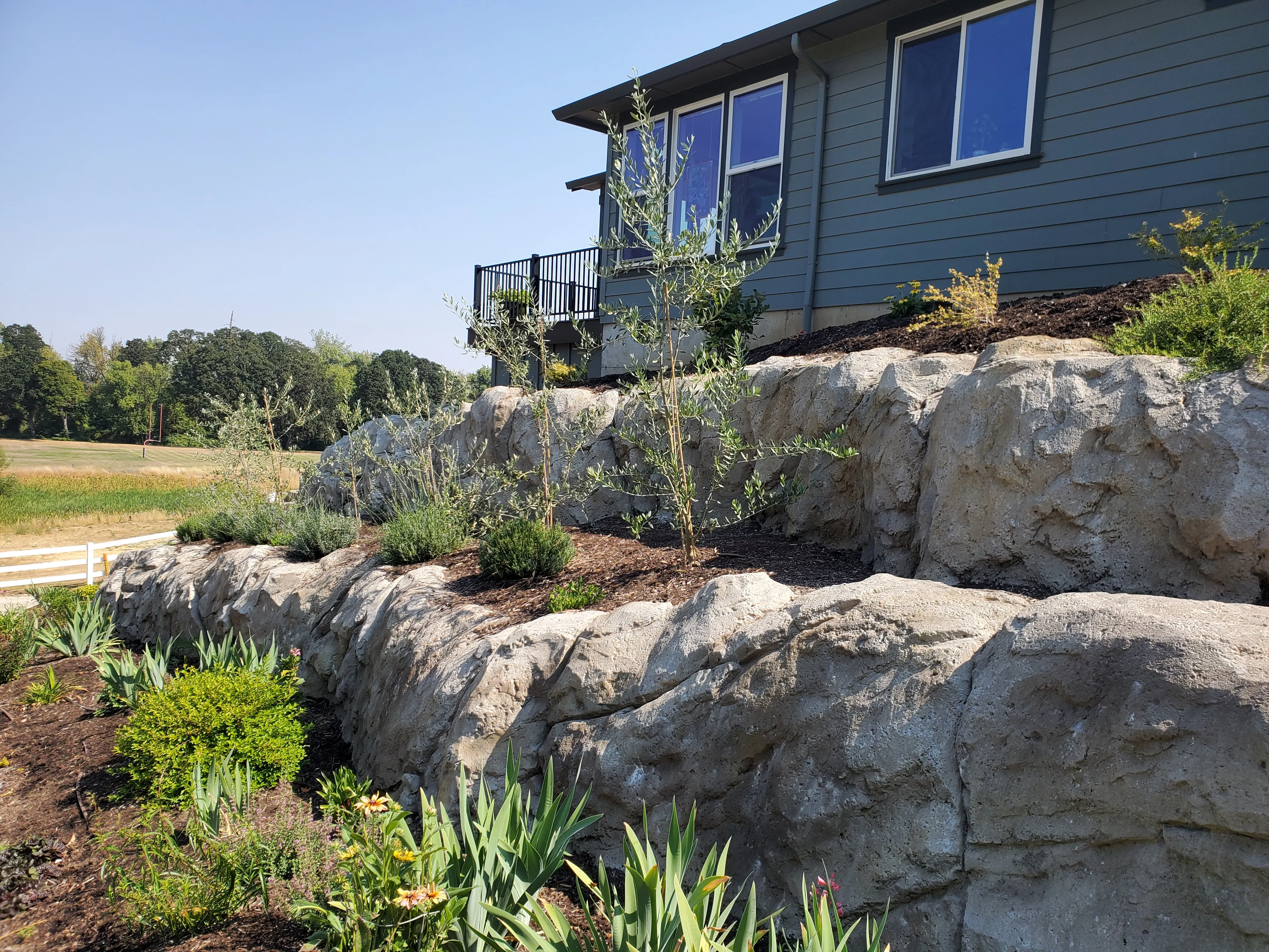 Two tiers of carved boulder walls with grasses and young plantings grown in between