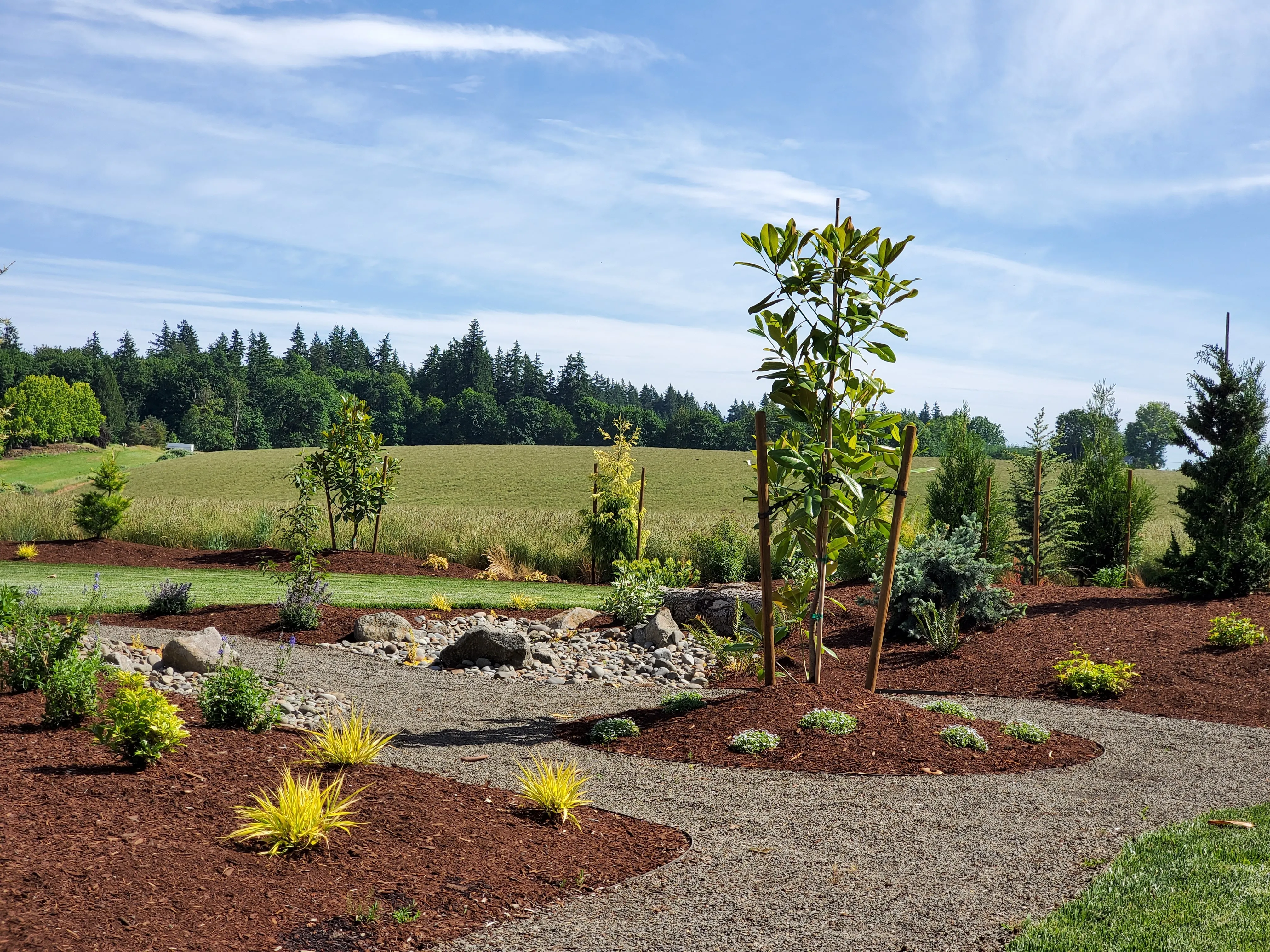 Dry creek bed with staked magnolia and young trees against Aurora farm fields