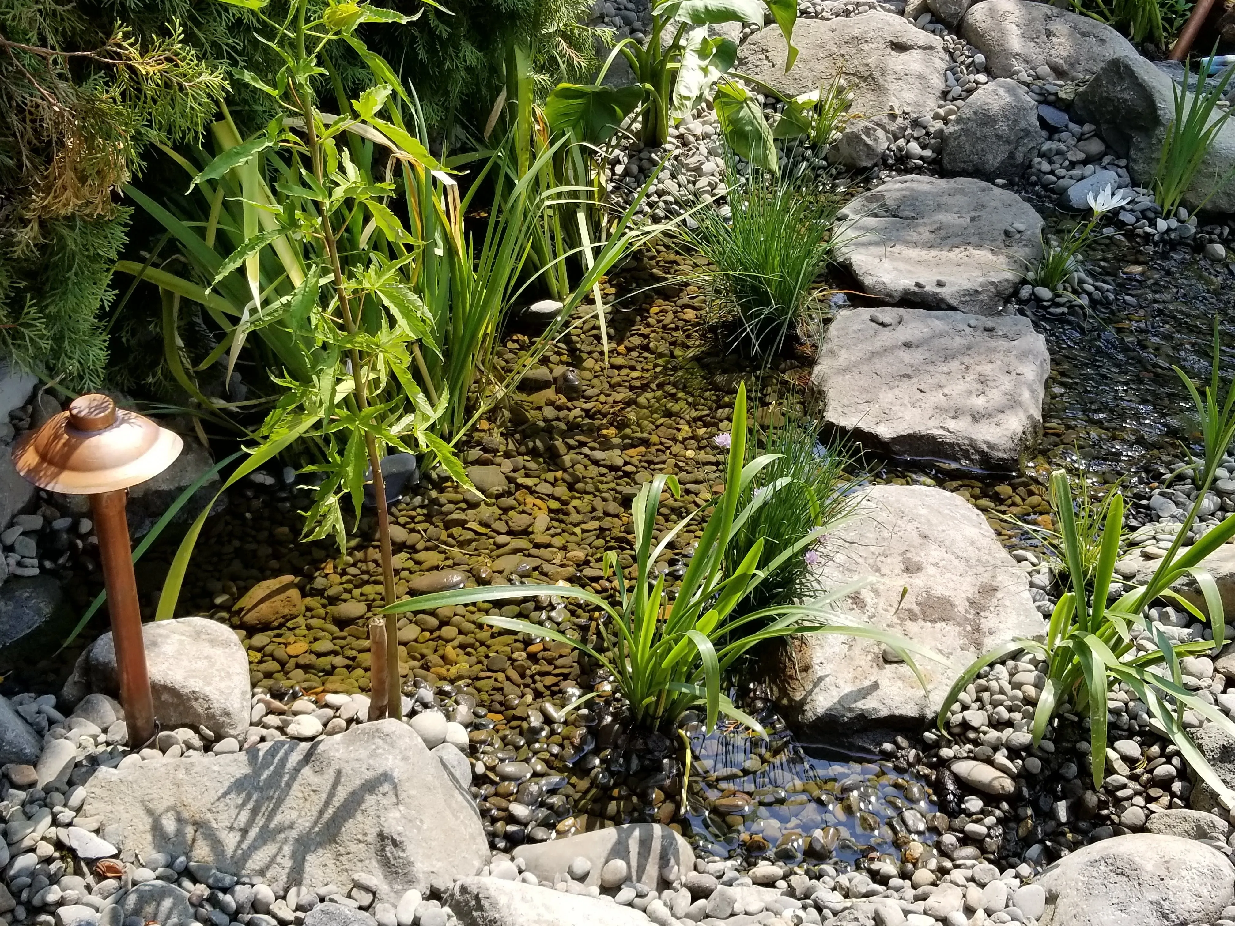 Stepping stones crossing a small courtyard stream with rain lilies and a copper path light in Charbonneau