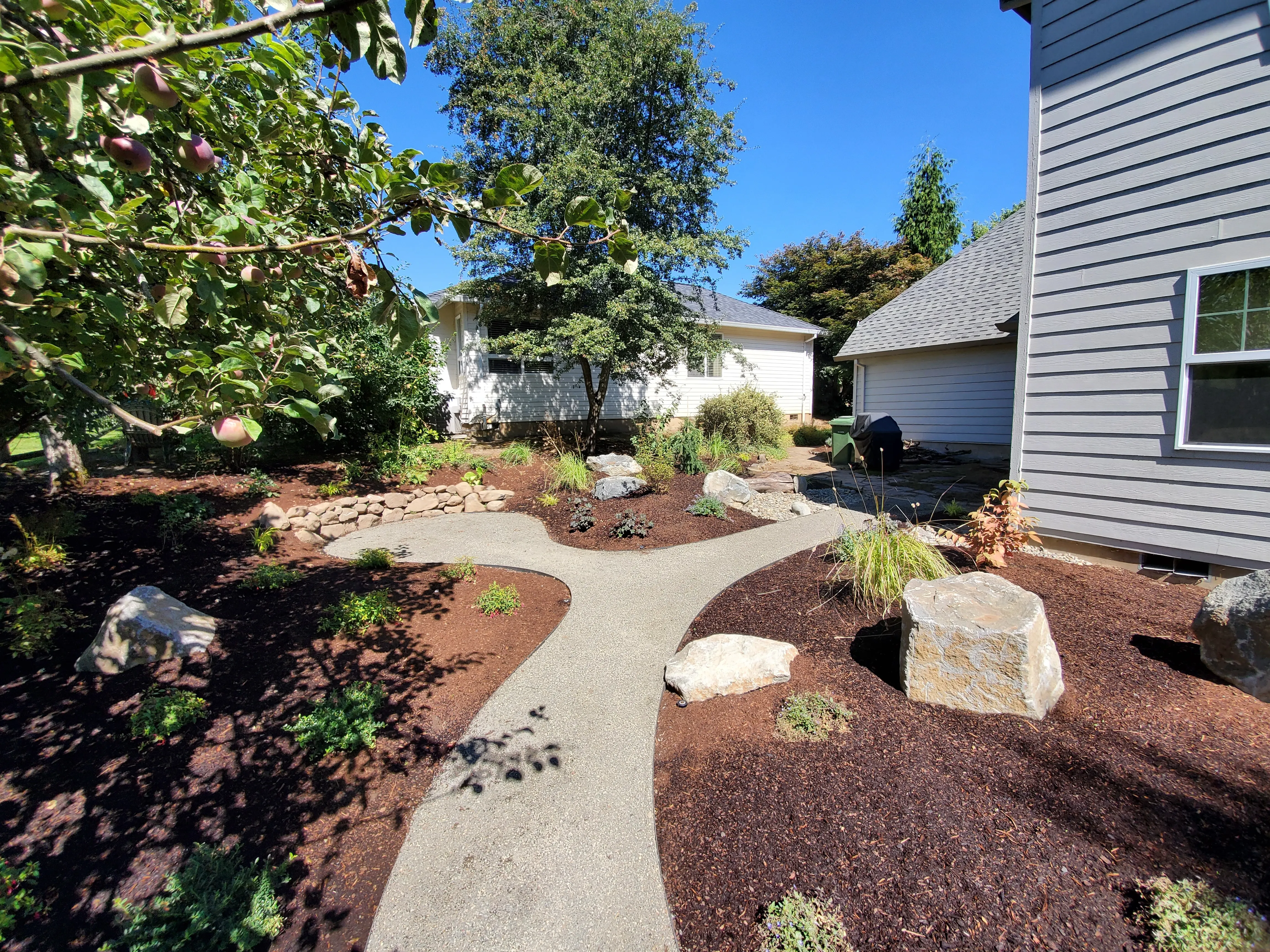 Aggregate garden paths forking through fresh boulder and mulch beds at a Wilsonville home