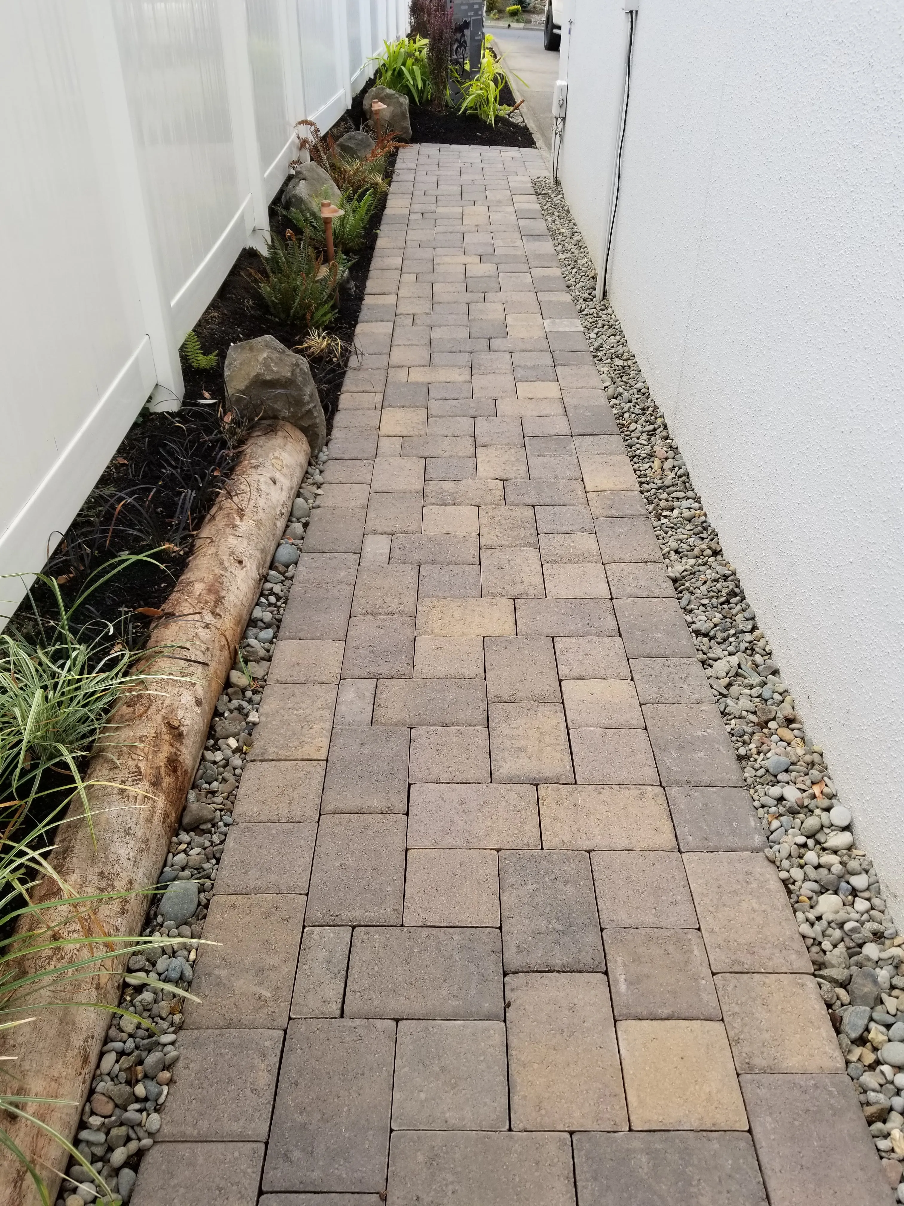 Modern paver walkway bordered by river pebbles, ferns, and a driftwood log at a Wilsonville home